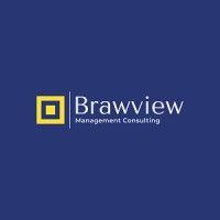 brawview management consulting logo image