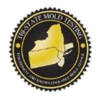 tri state mold testing logo image