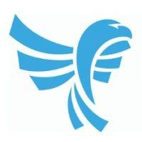 blue eagle consulting, inc. logo image