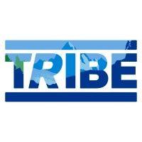 tribe | natural energy⚡️ logo image