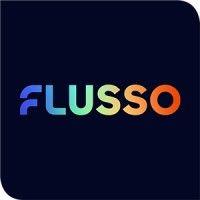 flusso limited logo image