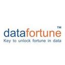 logo of Datafortune