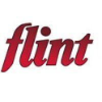 flint audio video