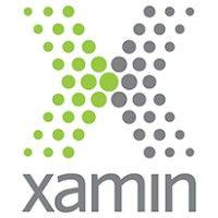 xamin logo image