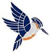 kingfisher systems, inc. logo image