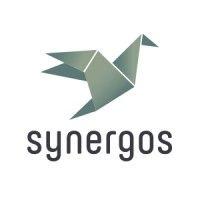 synergos companies logo image