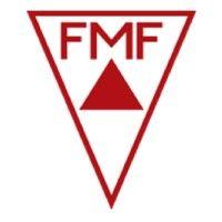 federação mineira de futebol - fmf