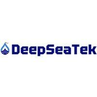 deep sea tek pte ltd logo image