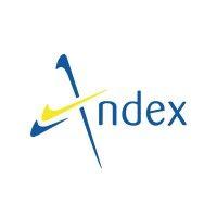 andex international logo image