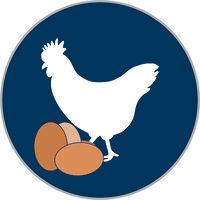 p.s. higgins poultry services logo image