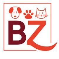 bauzaar logo image