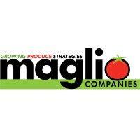 maglio companies logo image