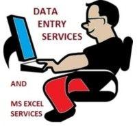 microsoft excel data entry logo image