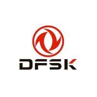 dfsk logo image