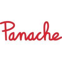 panache bv logo image