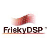 friskydsp technology ltd