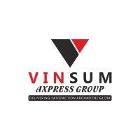 vinsum axpress india pvt.ltd. logo image