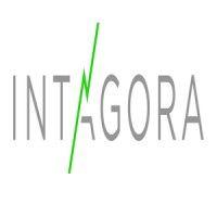 intagora, llc logo image