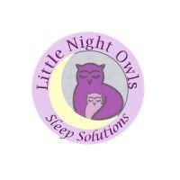 little night owls-sleep solutions logo image