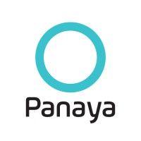 panaya logo image