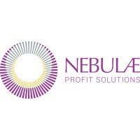 nebulae profit solutions logo image