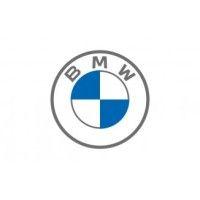 bmw logo image