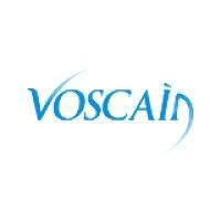 voscain logo image