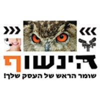 "הינשוף מיגון מרחבי "שומר הראש של העסק שלך logo image