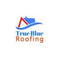 true blue roofing logo image