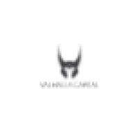 valhalla capital l.l.c. logo image