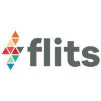 flits digitaal logo image