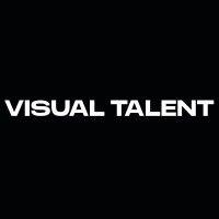 visual talent logo image