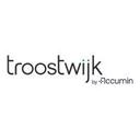 logo of Troostwijk By Accumin