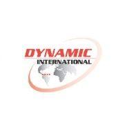 dynamic international freight services ltd logo image