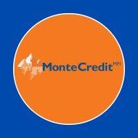 montecredit mfi logo image