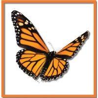 metamorphosis consulting logo image