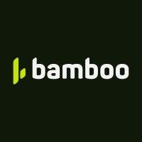 bamboo payment systems logo image