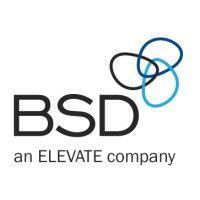 bsd consulting logo image