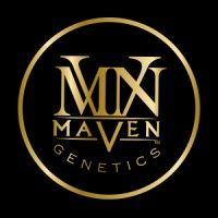 maven genetics logo image