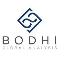 bodhi global analysis logo image