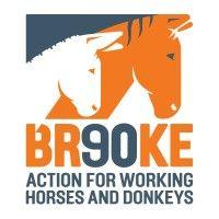 brooke, action for working horses and donkeys logo image