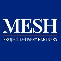 mesh project delivery partners