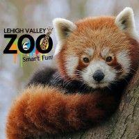 lehigh valley zoological society logo image