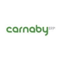 carnabyerp logo image