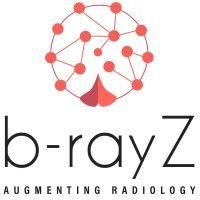 b-rayz logo image