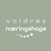 valdres næringshage as logo image