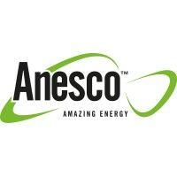 anesco ltd logo image