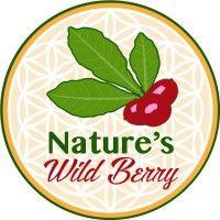 nature's wild berry logo image