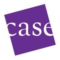 consultants advising student enterprises (case) logo image