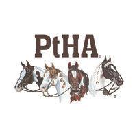 pinto horse association of america, inc. logo image